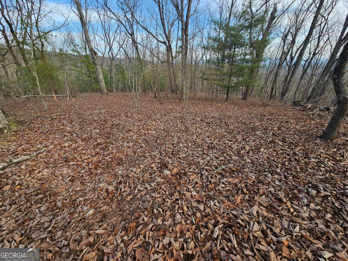 0 Old Federal Road Dawsonville GA 30534