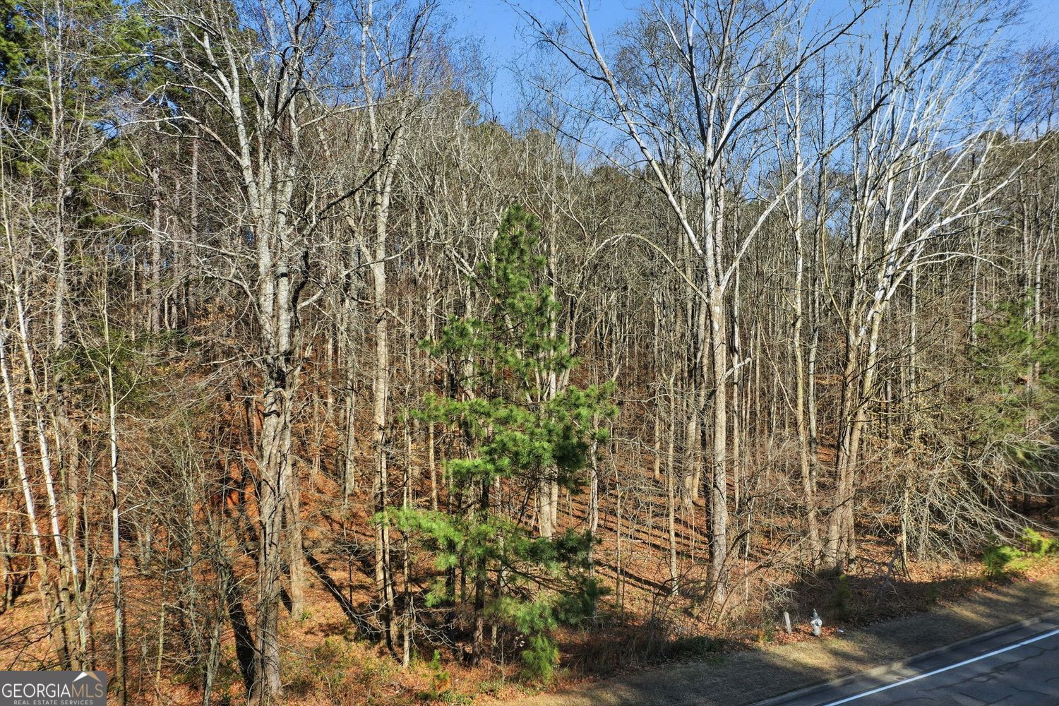 1600 Sixes Road Canton GA 30114