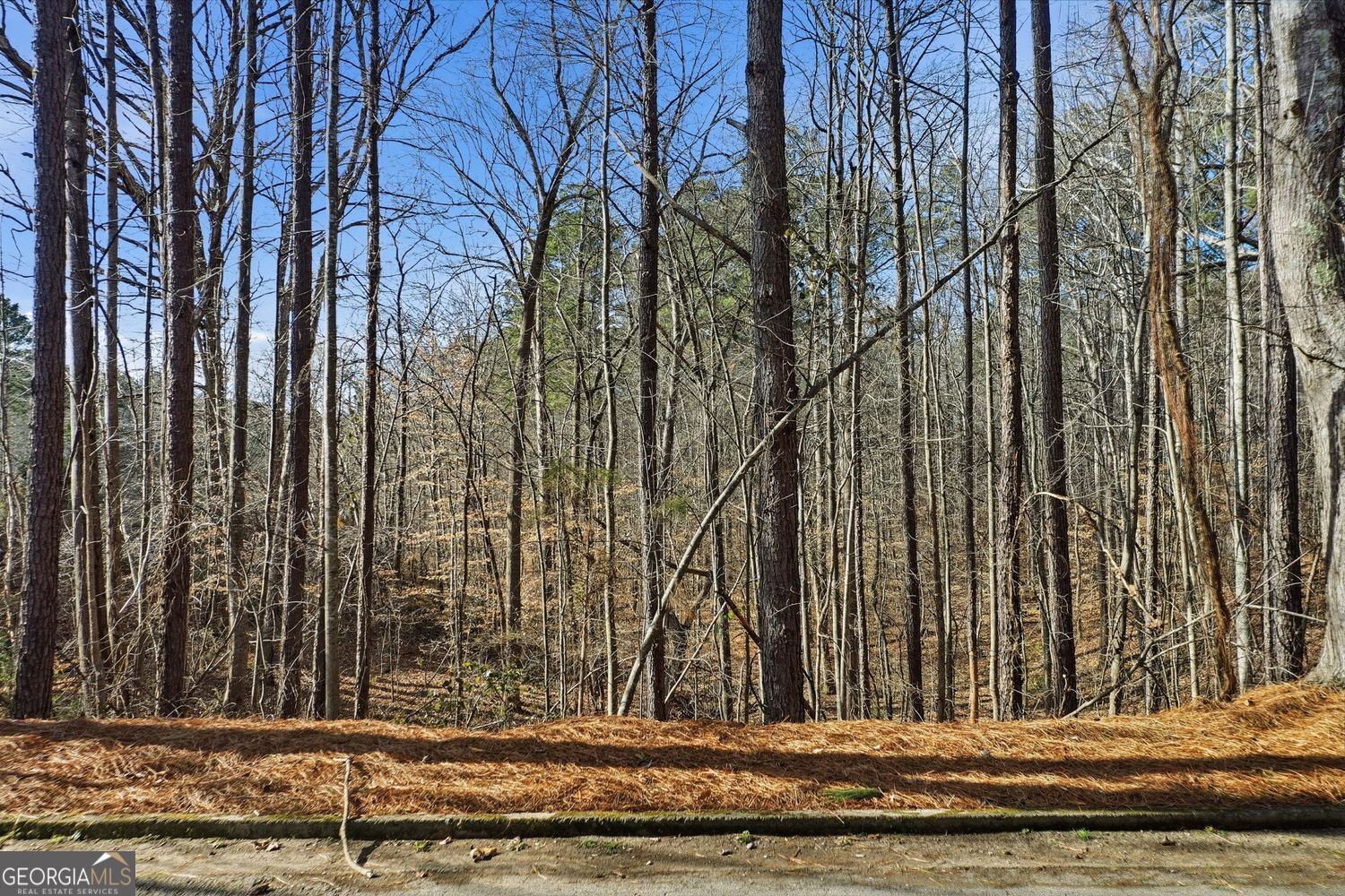 1600 Sixes Road Canton GA 30114