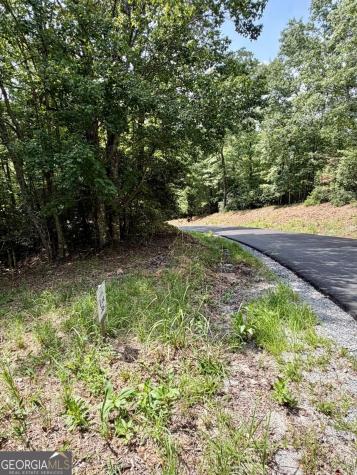Lot 36 Blue Horizon Drive Blue Ridge GA 30513