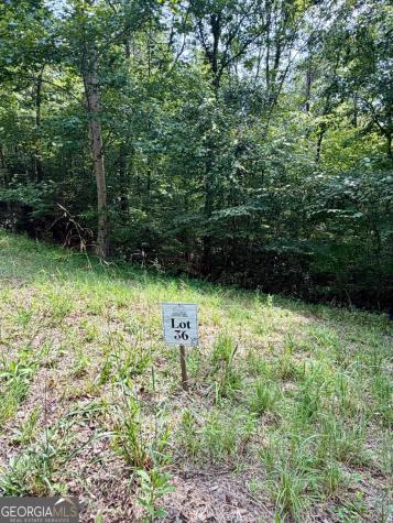 Lot 36 Blue Horizon Drive Blue Ridge GA 30513