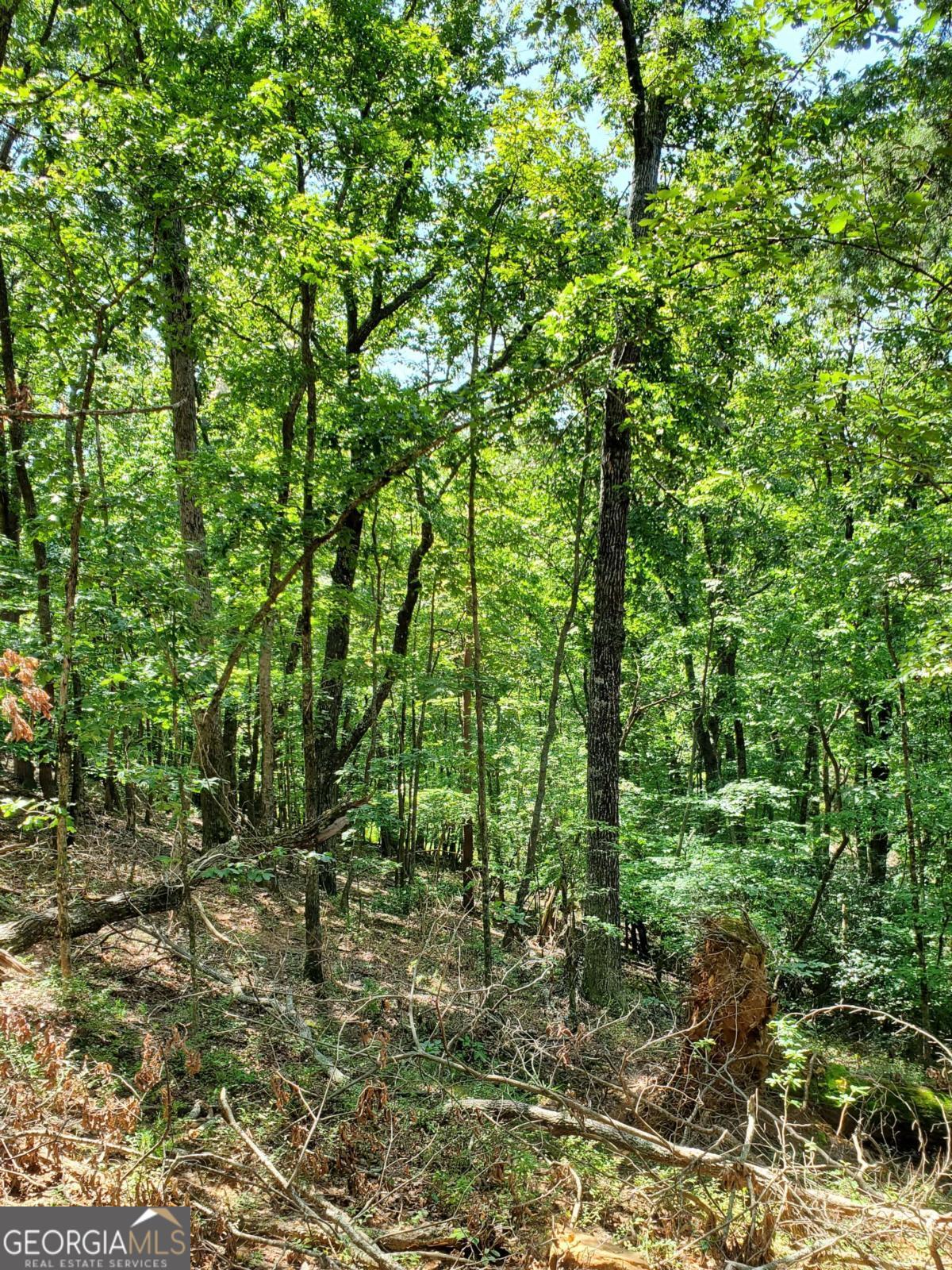 0 Asbury Mill Road Cleveland GA 30528