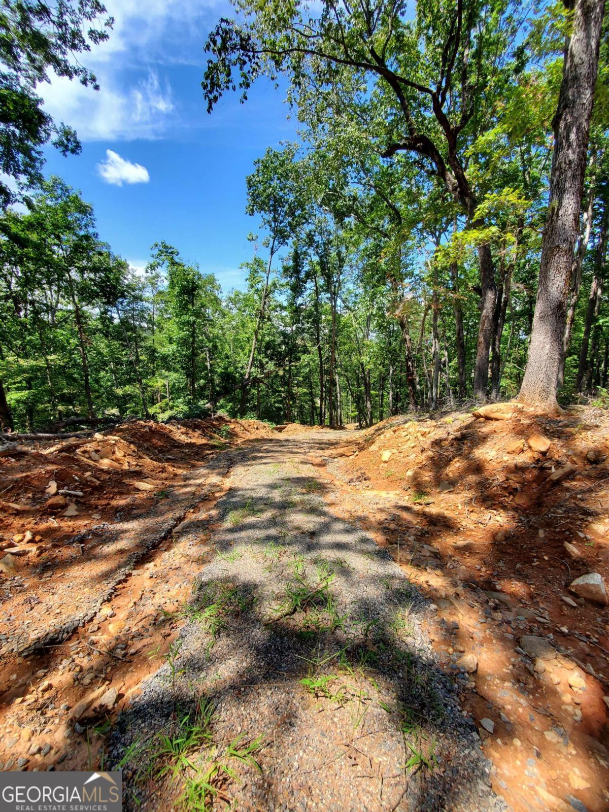 0 Asbury Mill Road Cleveland GA 30528