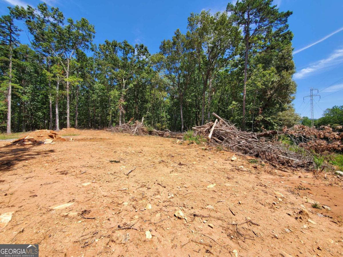 0 Asbury Mill Road Cleveland GA 30528