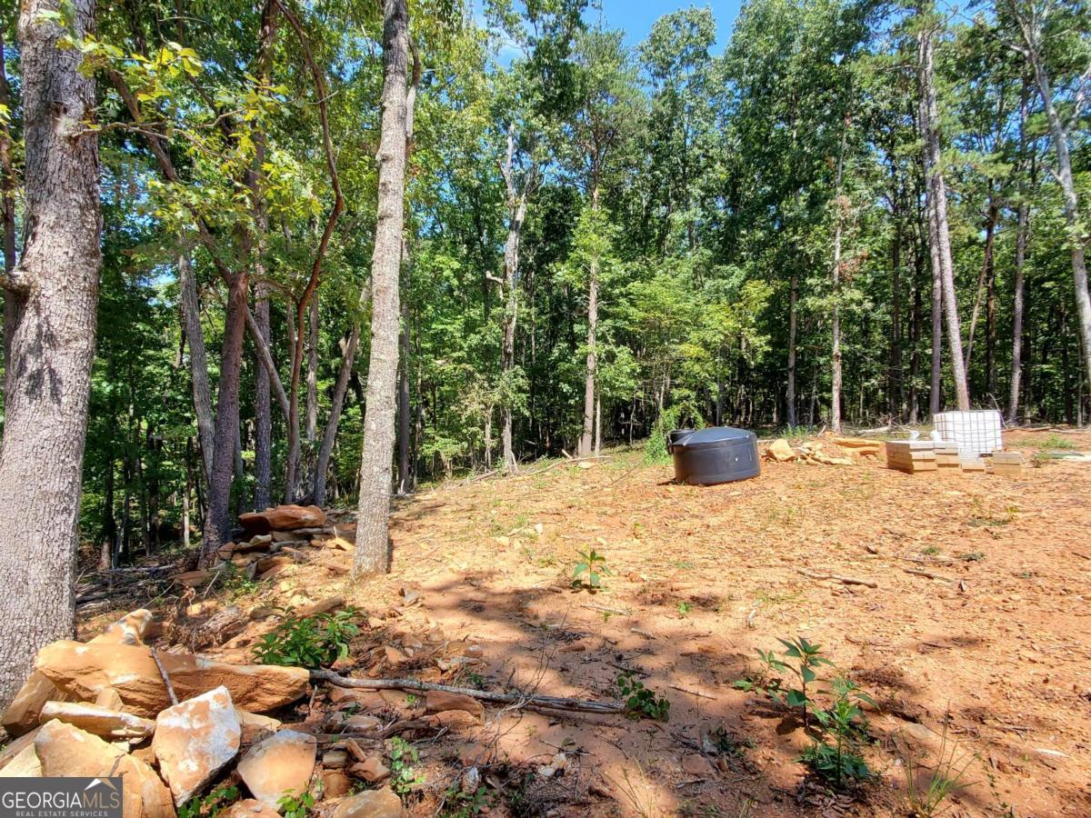 0 Asbury Mill Road Cleveland GA 30528