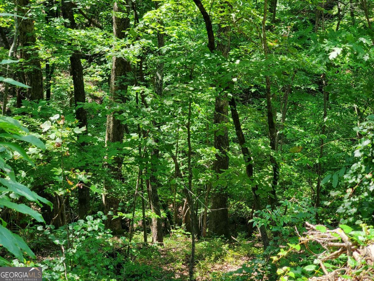 0 Asbury Mill Road Cleveland GA 30528