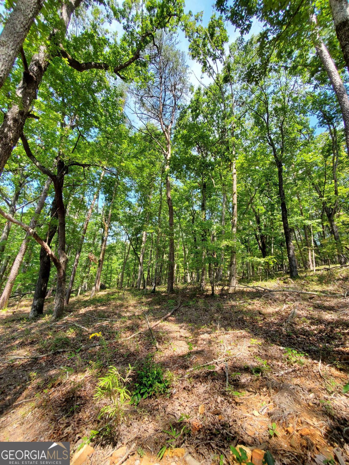 0 Asbury Mill Road Cleveland GA 30528