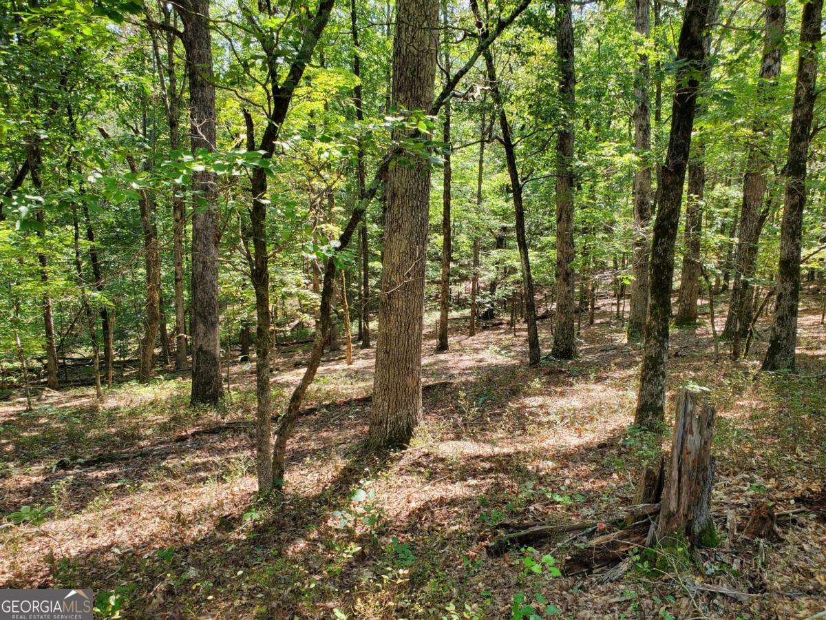 0 Asbury Mill Road Cleveland GA 30528