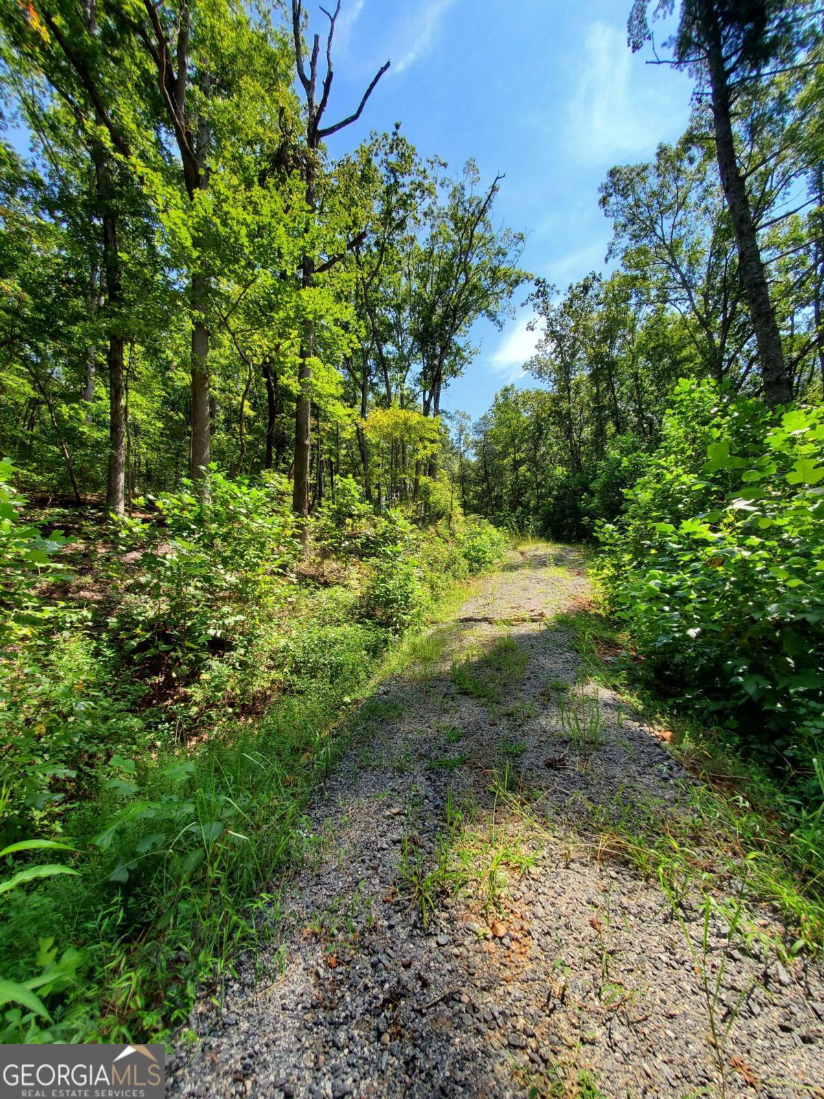 0 Asbury Mill Road Cleveland GA 30528