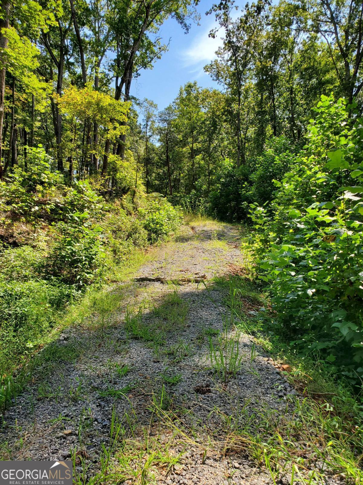 0 Asbury Mill Road Cleveland GA 30528