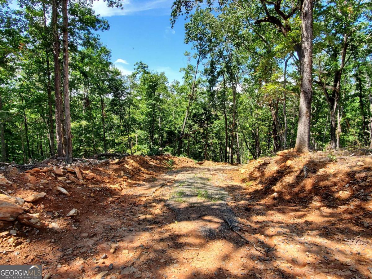 0 Asbury Mill Road Cleveland GA 30528
