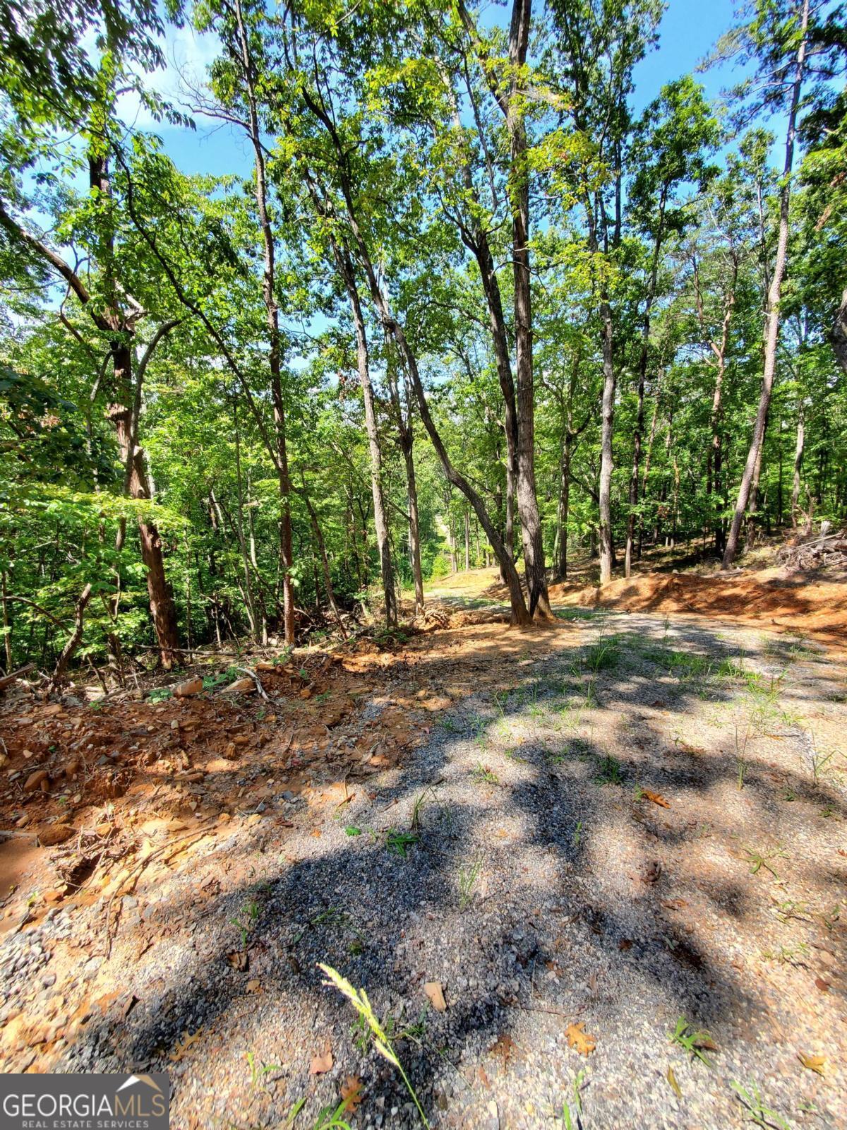 0 Asbury Mill Road Cleveland GA 30528
