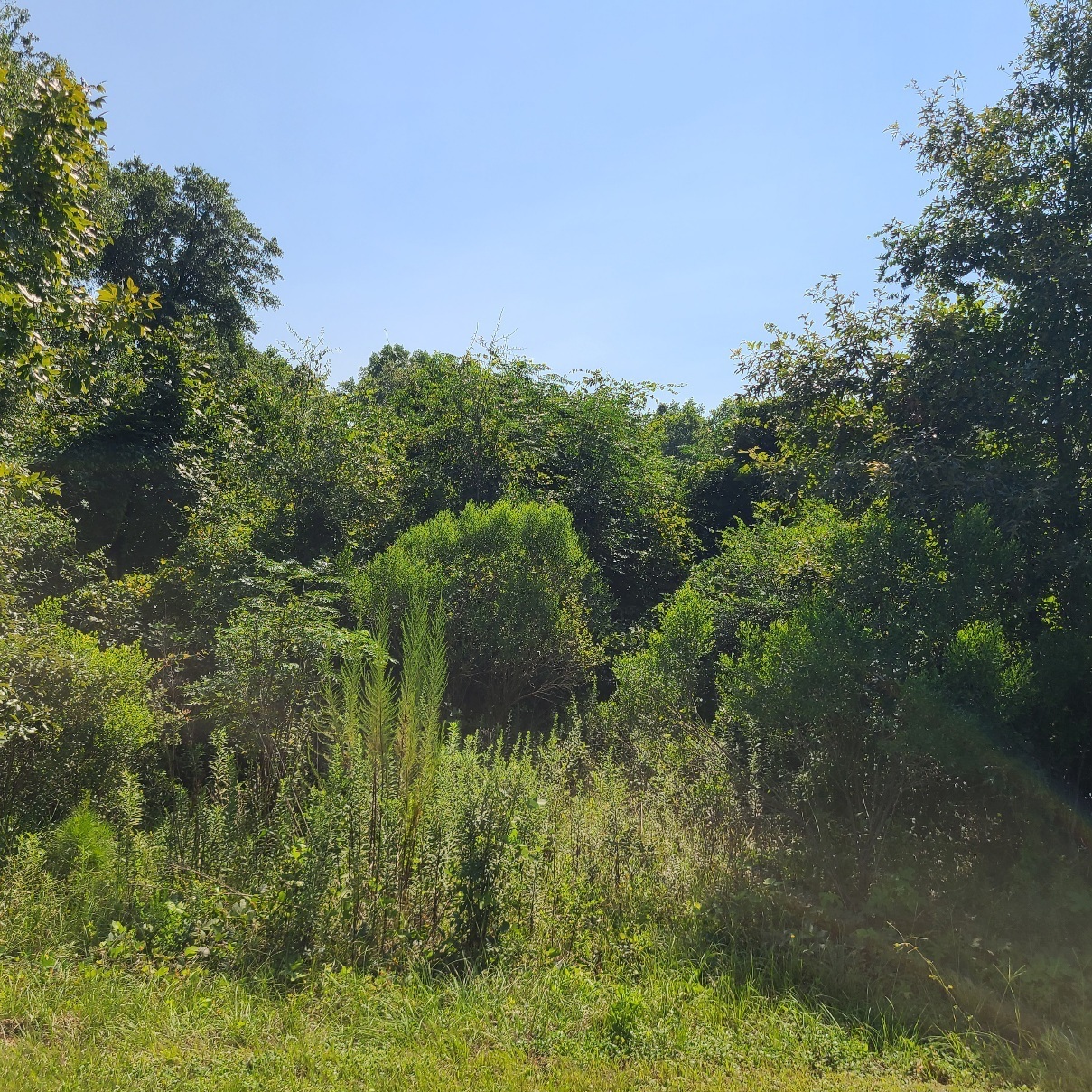 2XX Airport Road Perry GA 31069