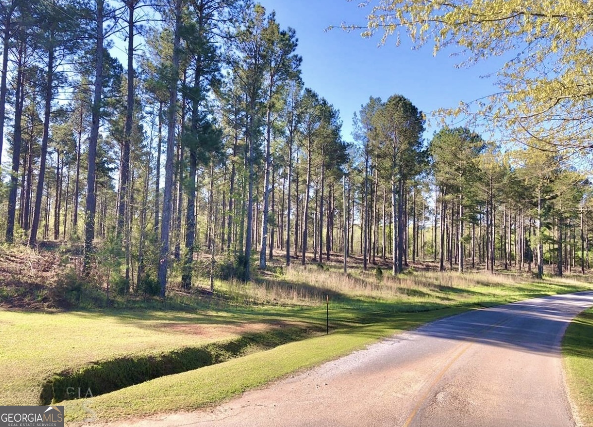 0 Speed Lane Madison GA 30650