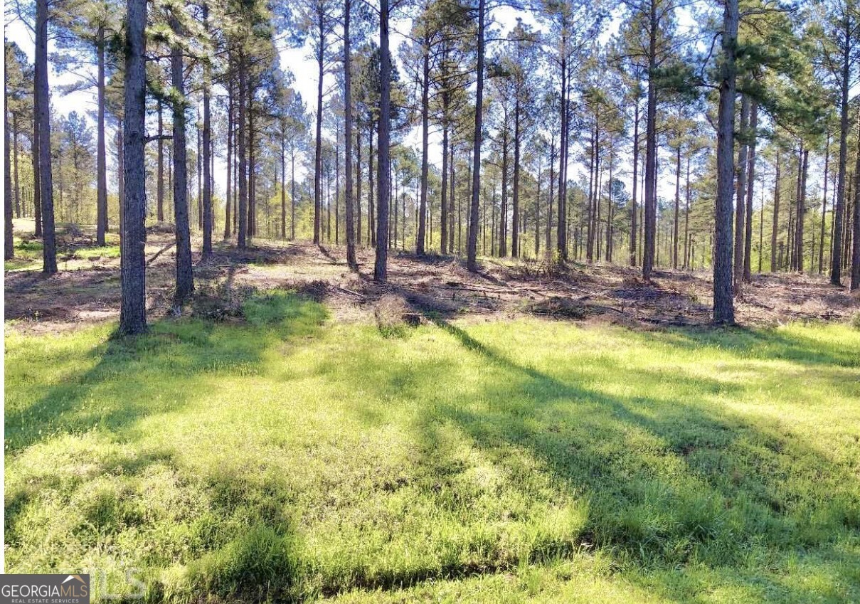 0 Speed Lane Madison GA 30650