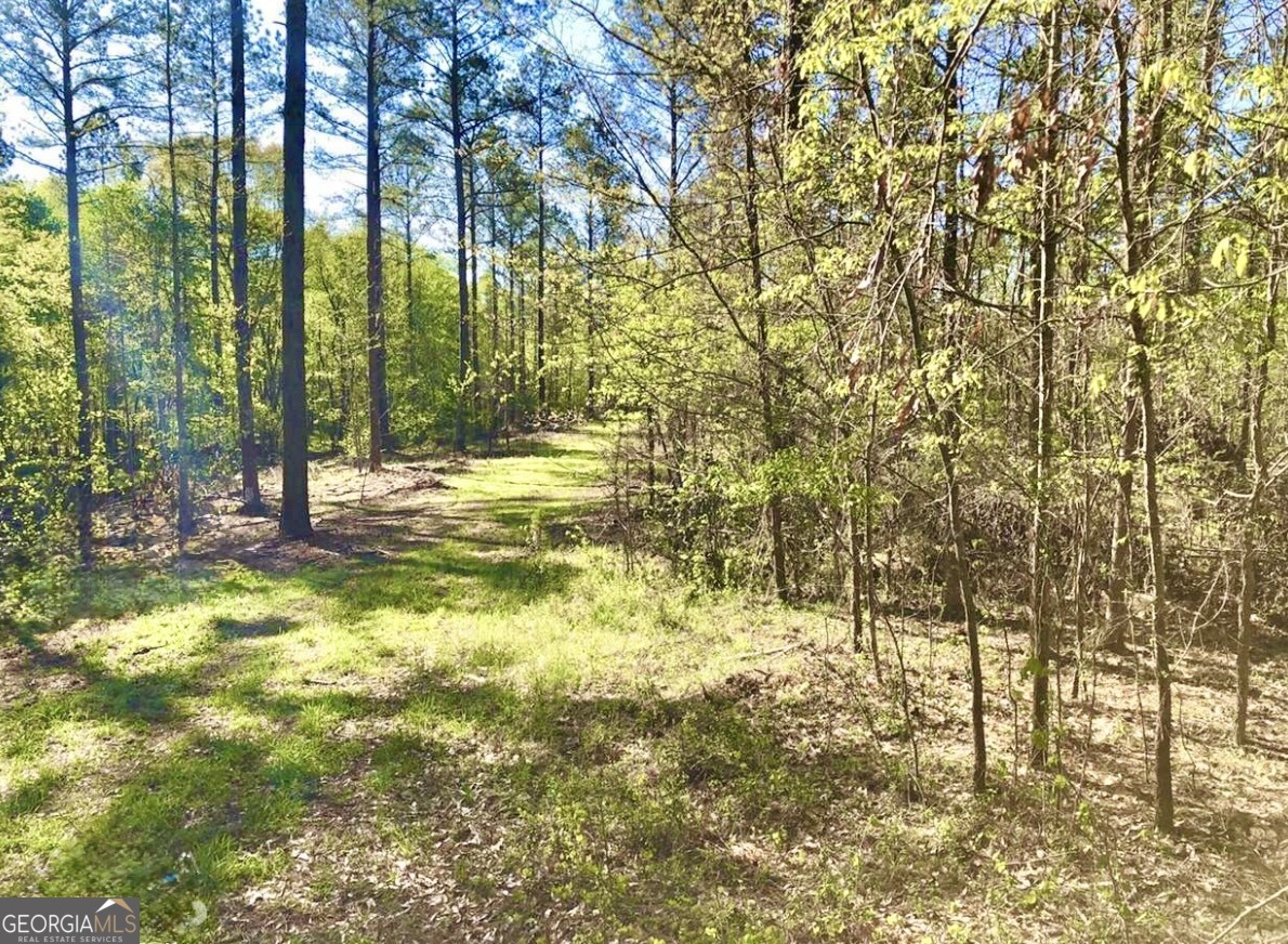 0 Speed Lane Madison GA 30650