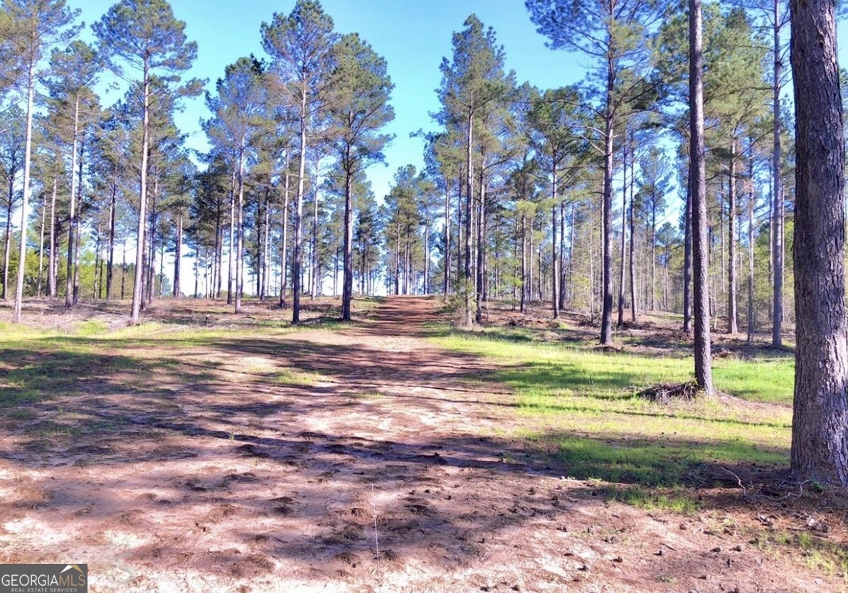 0 Speed Lane Madison GA 30650