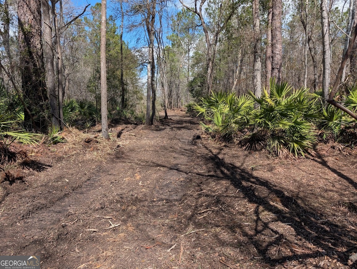 559 Lake Deborah Drive Folkston GA 31537