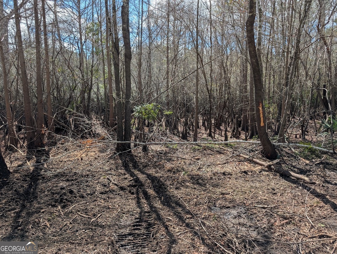 559 Lake Deborah Drive Folkston GA 31537
