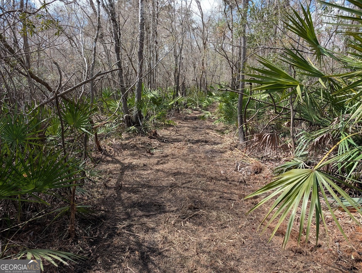 559 Lake Deborah Drive Folkston GA 31537