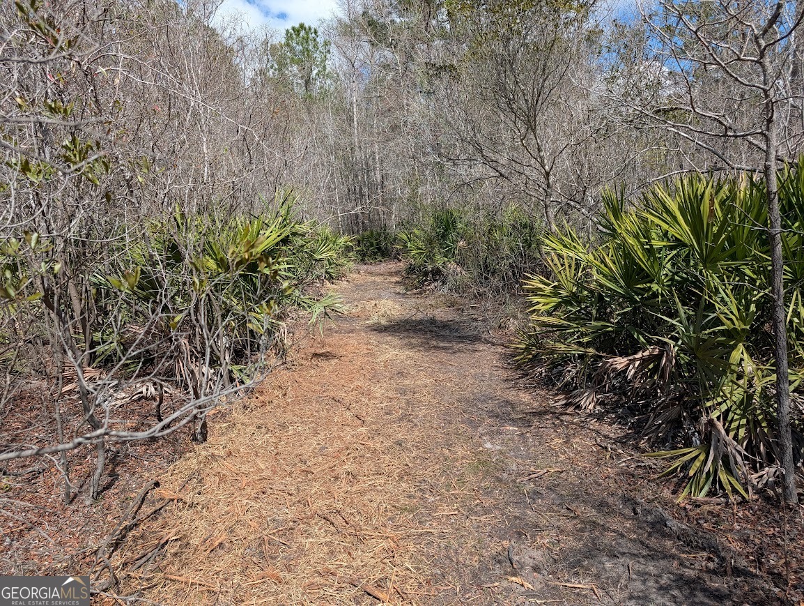 559 Lake Deborah Drive Folkston GA 31537
