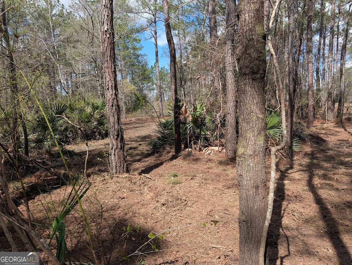 559 Lake Deborah Drive Folkston GA 31537