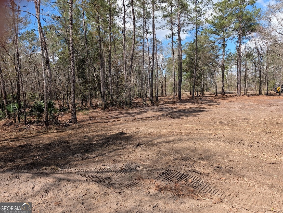 559 Lake Deborah Drive Folkston GA 31537