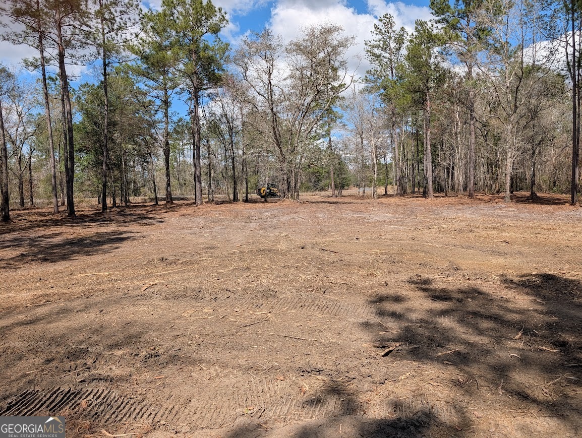 559 Lake Deborah Drive Folkston GA 31537