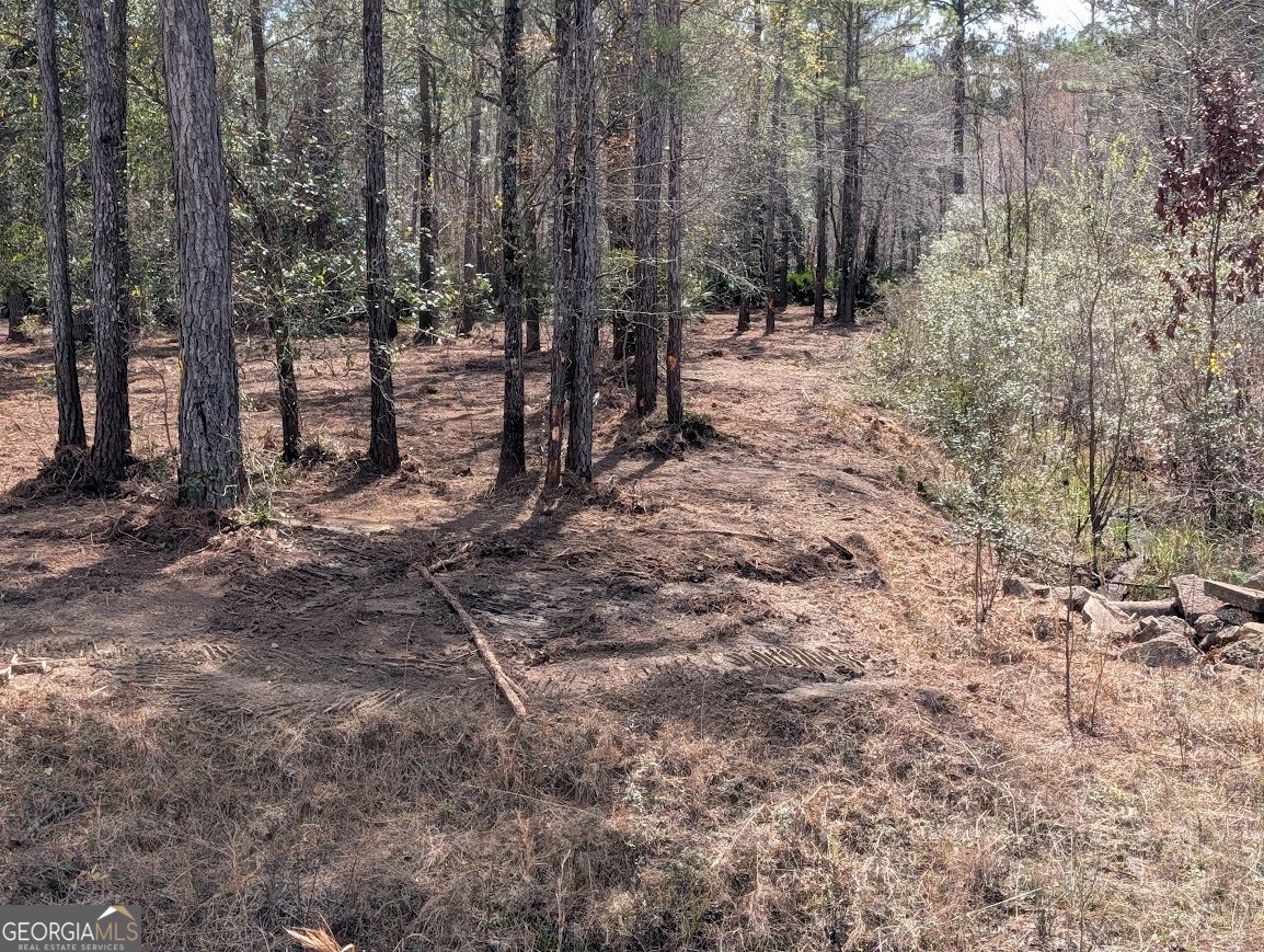 559 Lake Deborah Drive Folkston GA 31537