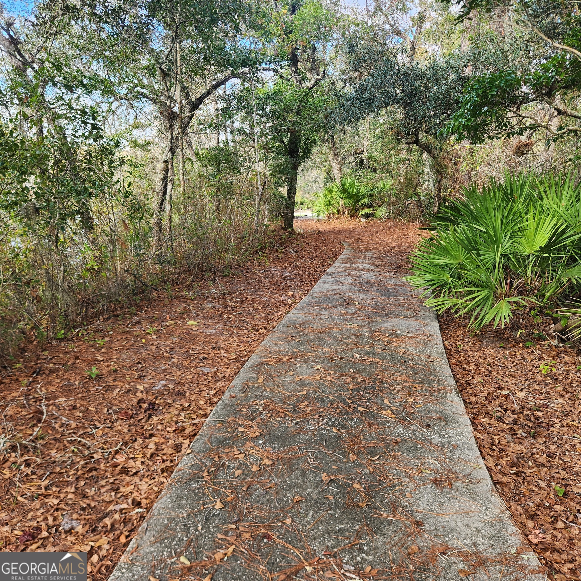 559 Lake Deborah Drive Folkston GA 31537