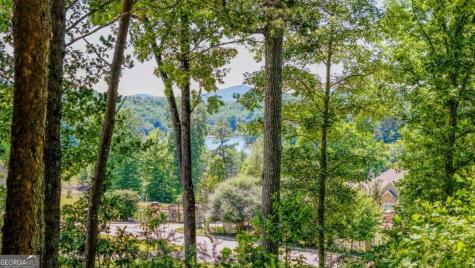 Lot 35 Hidden Harbor Blairsville GA 30512