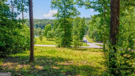 Lot 35 Hidden Harbor Blairsville GA 30512