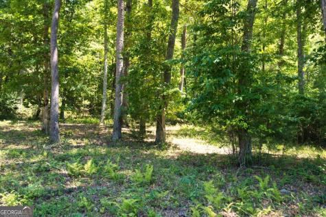 Lot 35 Hidden Harbor Blairsville GA 30512
