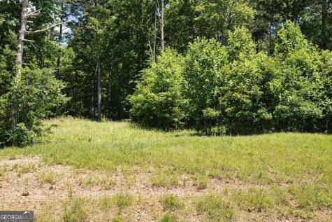 Lot 35 Hidden Harbor Blairsville GA 30512