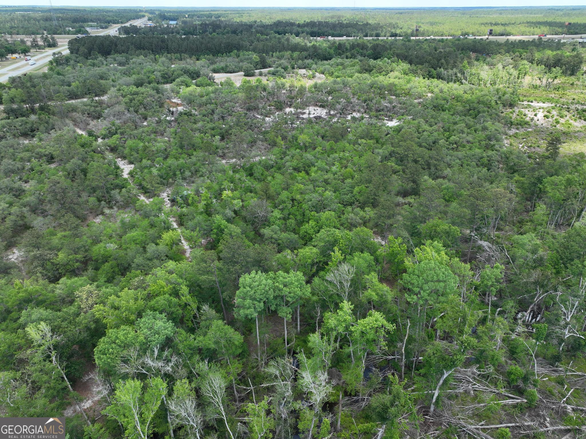 8 Old Highway 46 (24.84 Ac) Twin City GA 30471