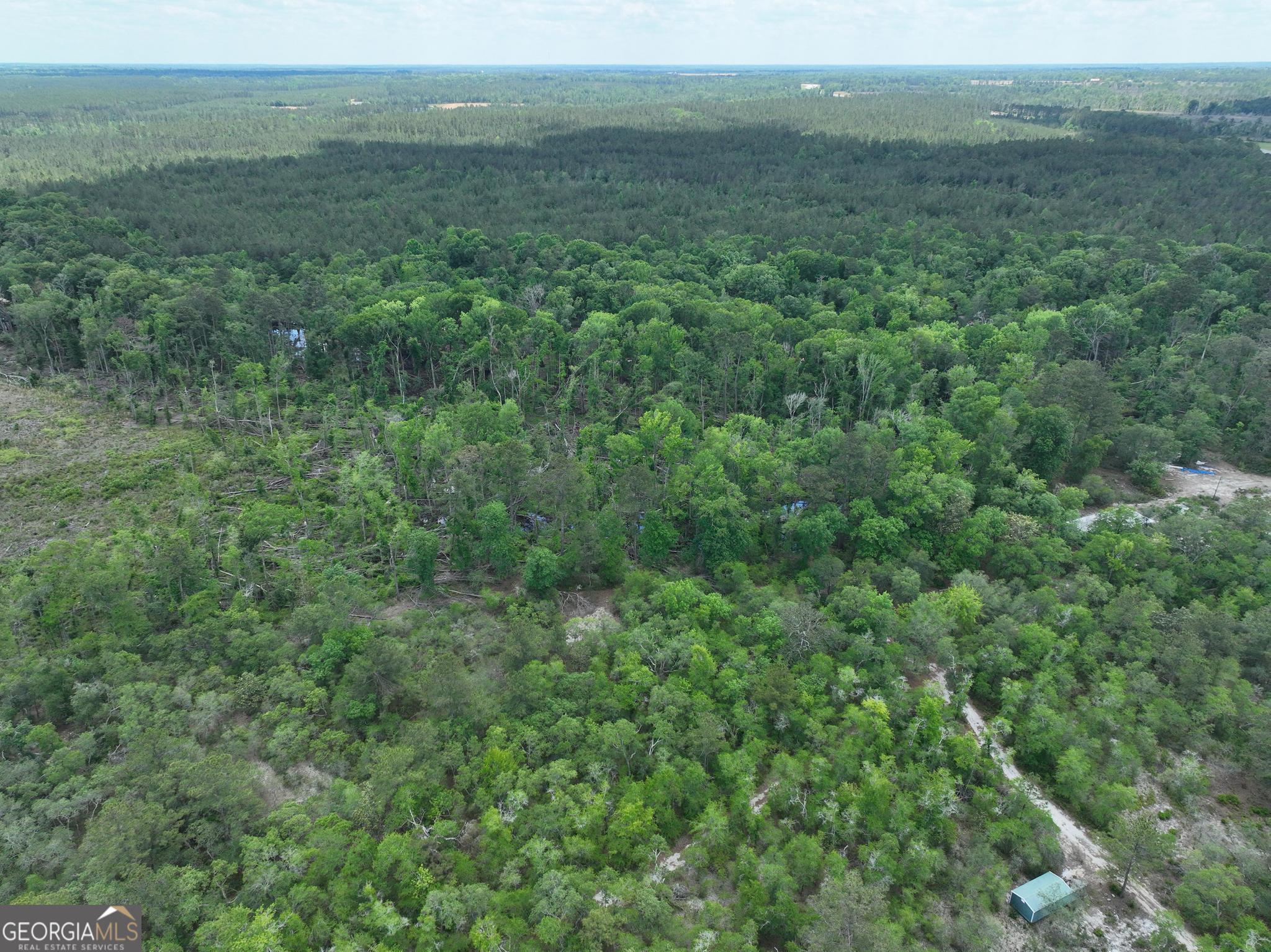 8 Old Highway 46 (24.84 Ac) Twin City GA 30471