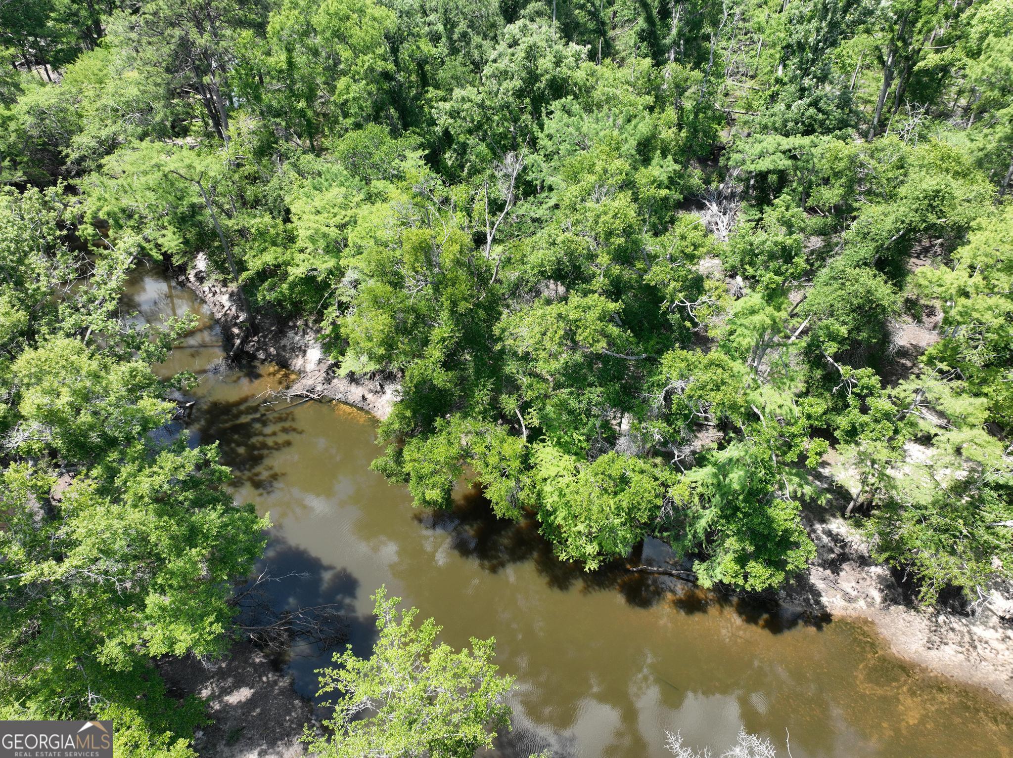 8 Old Highway 46 (24.84 Ac) Twin City GA 30471
