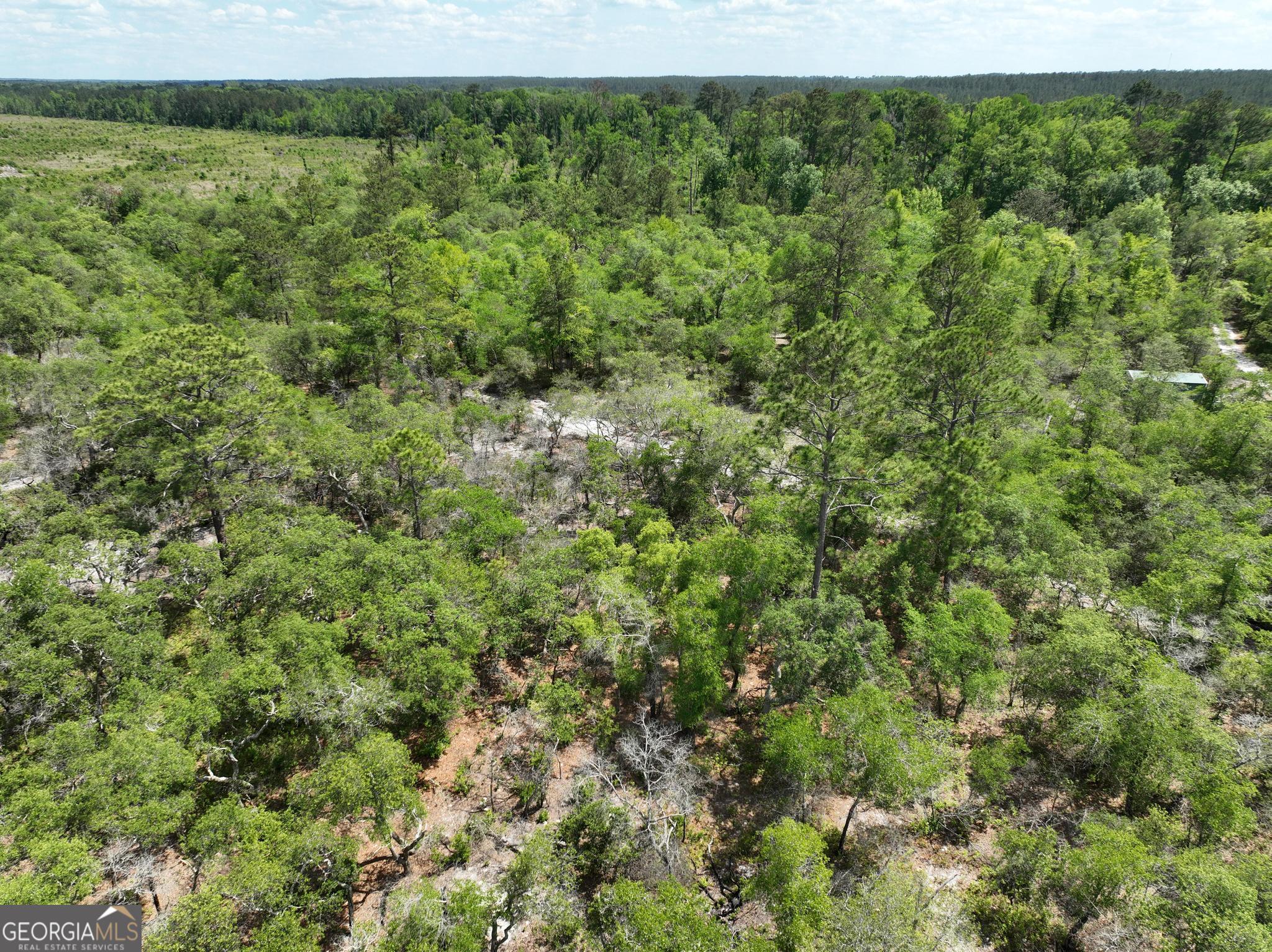 8 Old Highway 46 (24.84 Ac) Twin City GA 30471