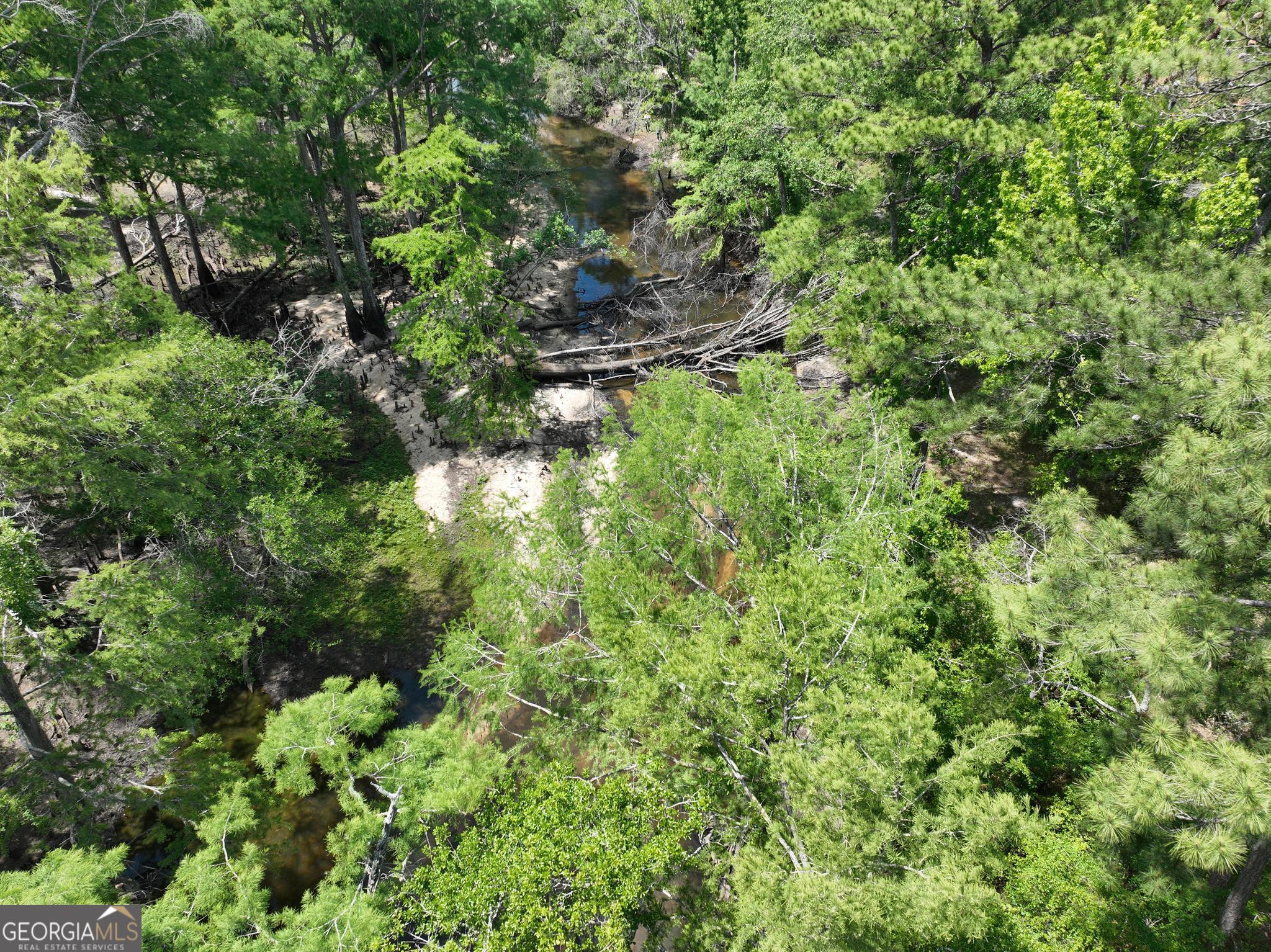 8 Old Highway 46 (24.84 Ac) Twin City GA 30471