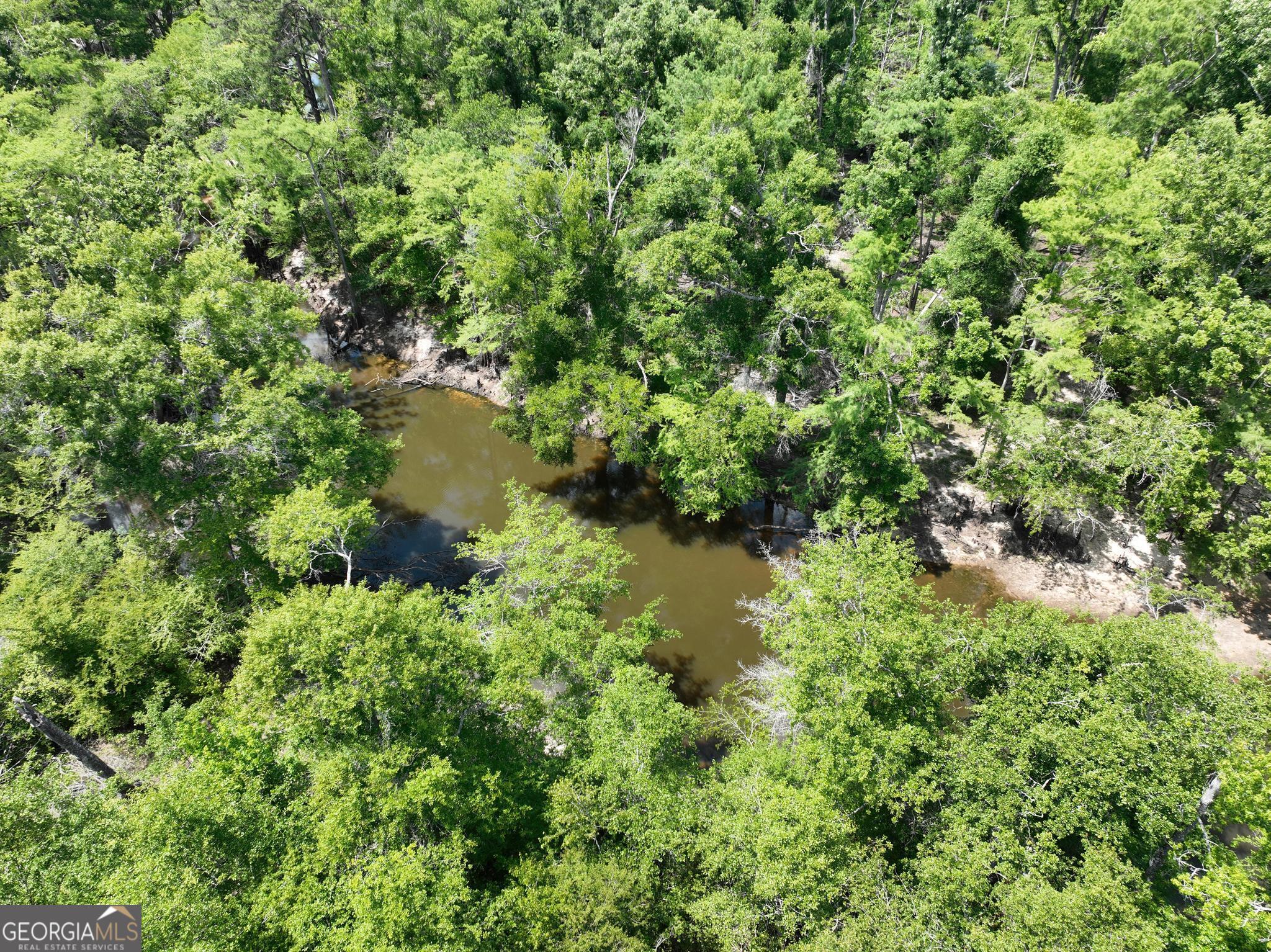 8 Old Highway 46 (24.84 Ac) Twin City GA 30471