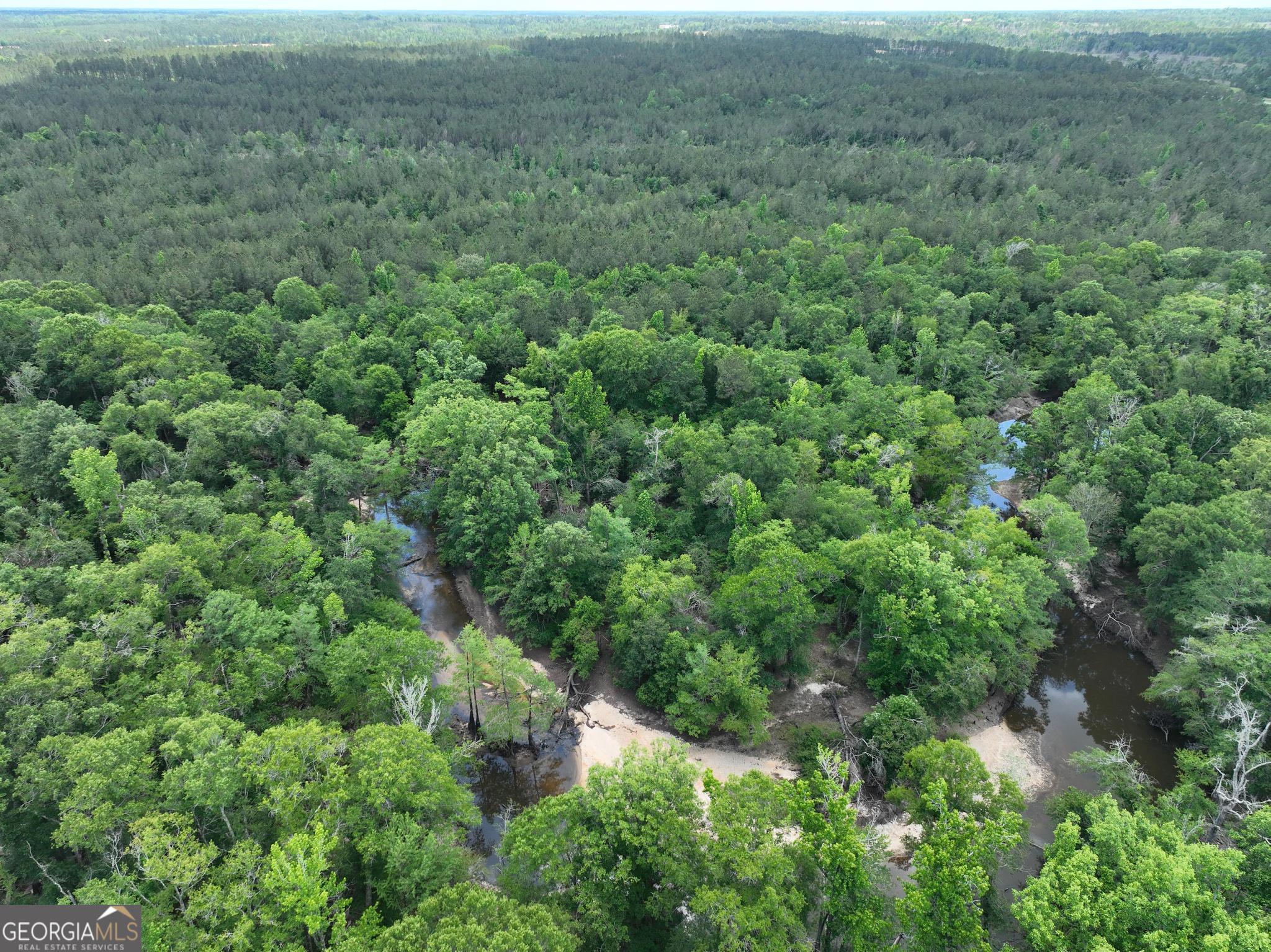 8 Old Highway 46 (24.84 Ac) Twin City GA 30471