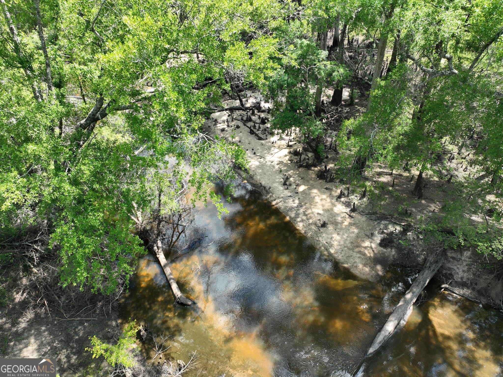 8 Old Highway 46 (24.84 Ac) Twin City GA 30471