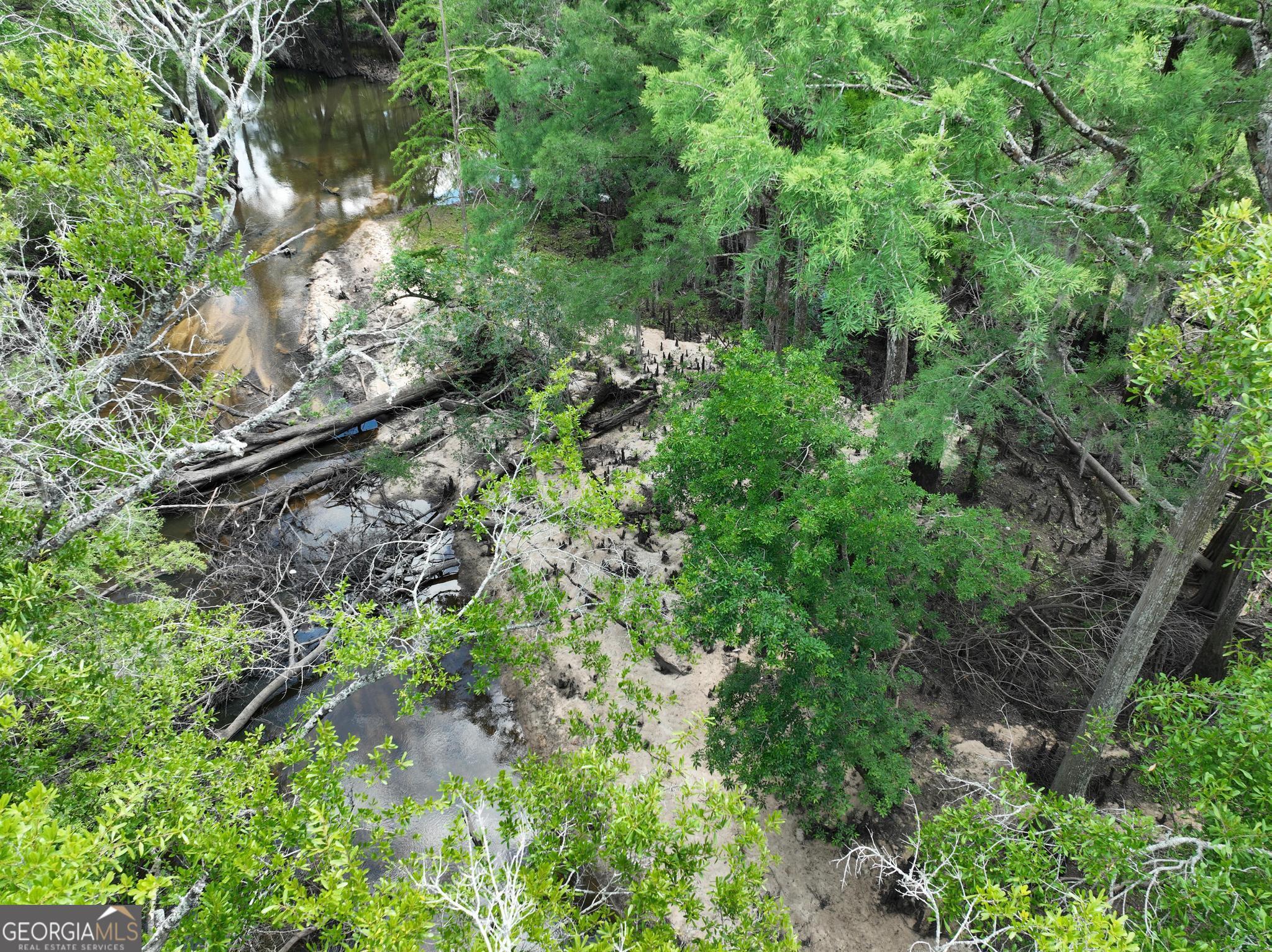 8 Old Highway 46 (24.84 Ac) Twin City GA 30471