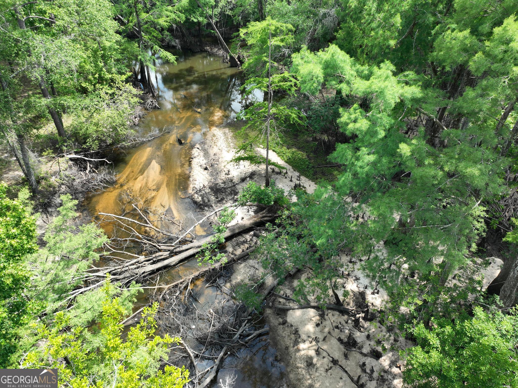 8 Old Highway 46 (24.84 Ac) Twin City GA 30471
