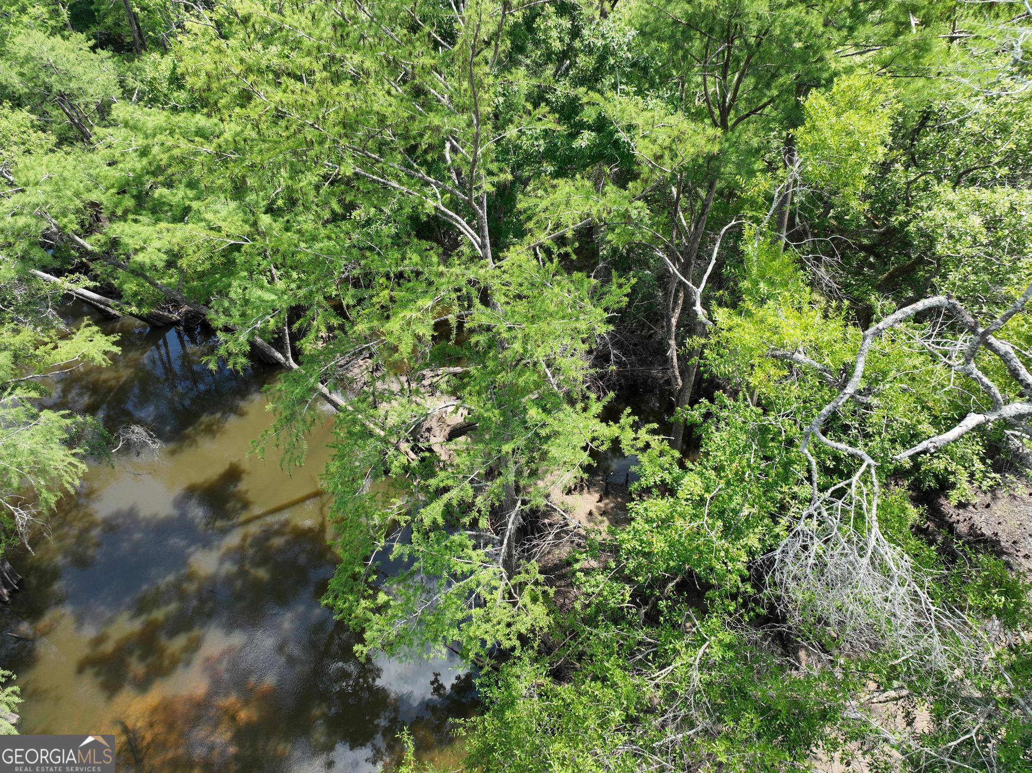 8 Old Highway 46 (24.84 Ac) Twin City GA 30471