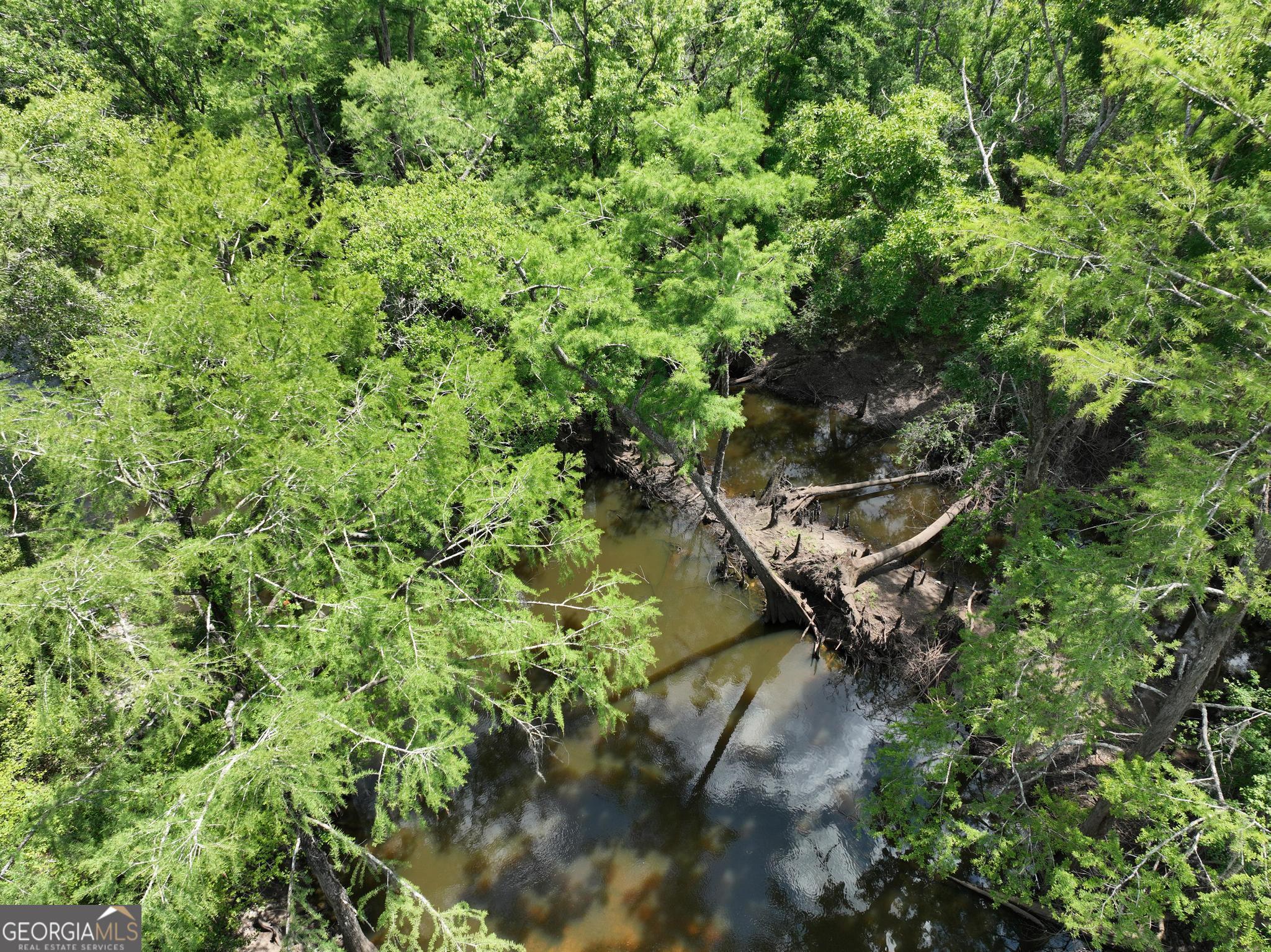 8 Old Highway 46 (24.84 Ac) Twin City GA 30471