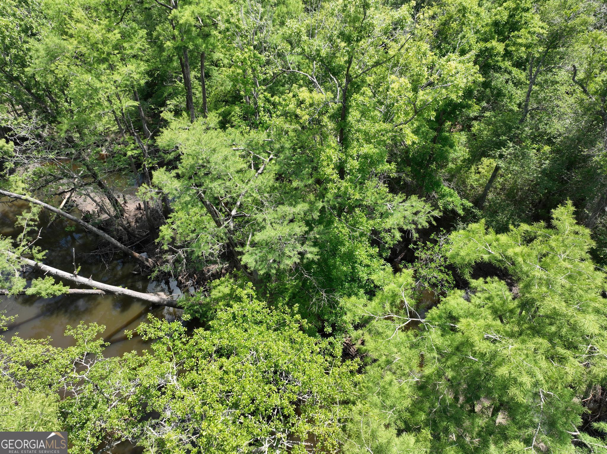 8 Old Highway 46 (24.84 Ac) Twin City GA 30471