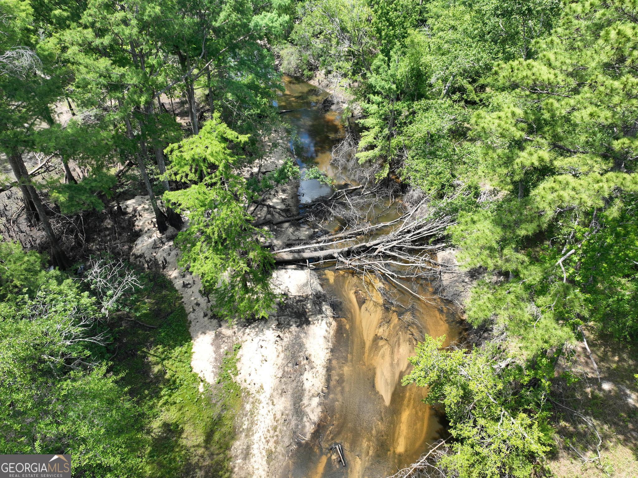 8 Old Highway 46 (24.84 Ac) Twin City GA 30471