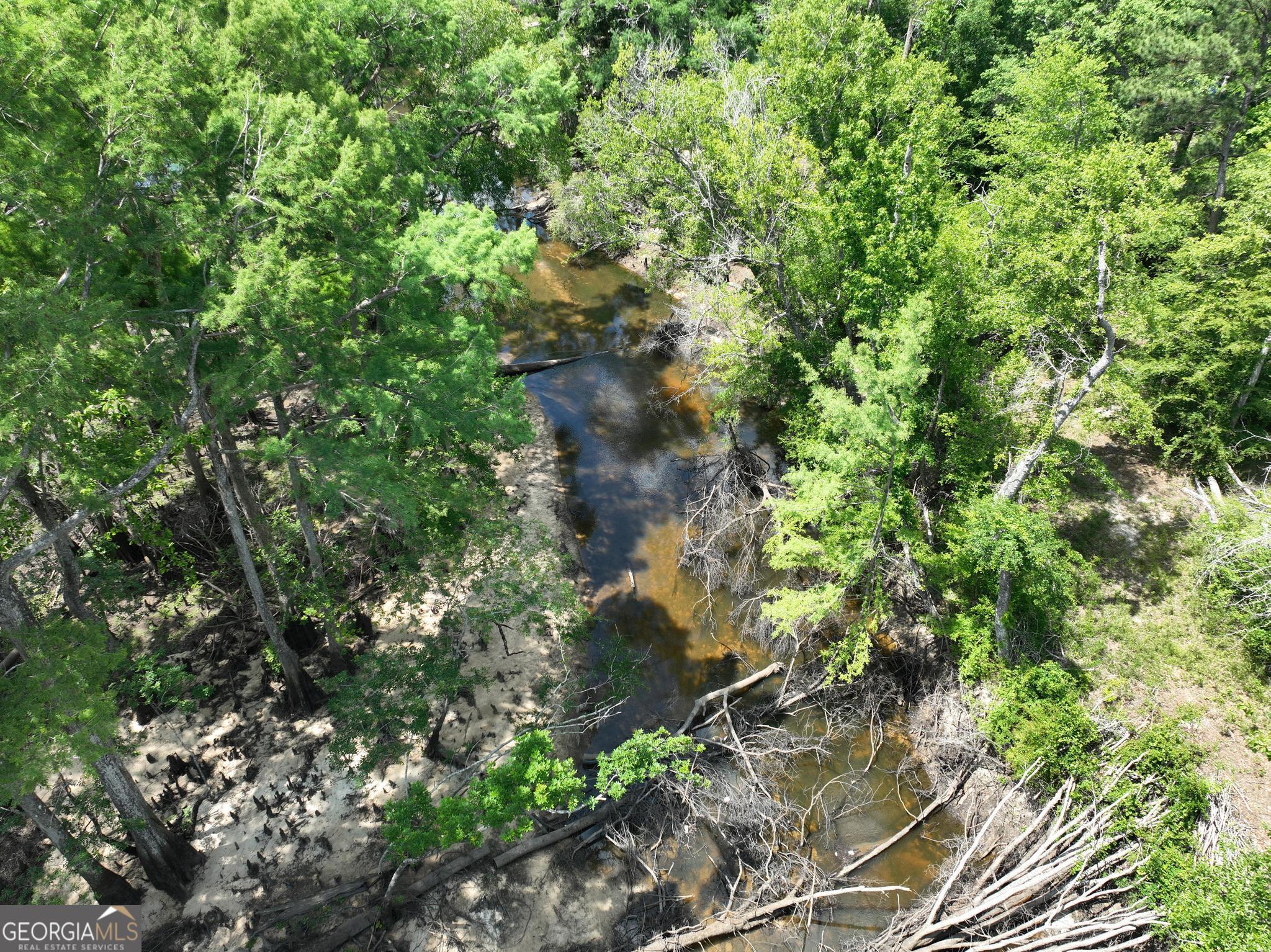 8 Old Highway 46 (24.84 Ac) Twin City GA 30471