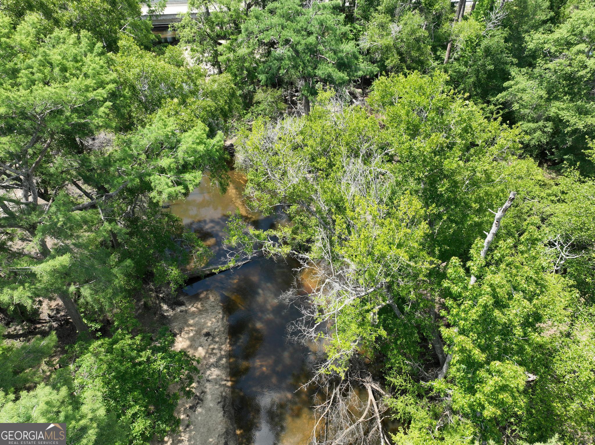 8 Old Highway 46 (24.84 Ac) Twin City GA 30471